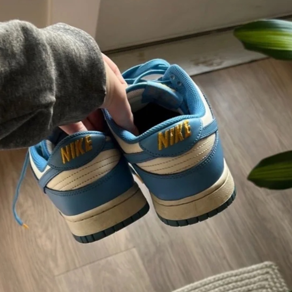 Low Coast Dunks - image 2